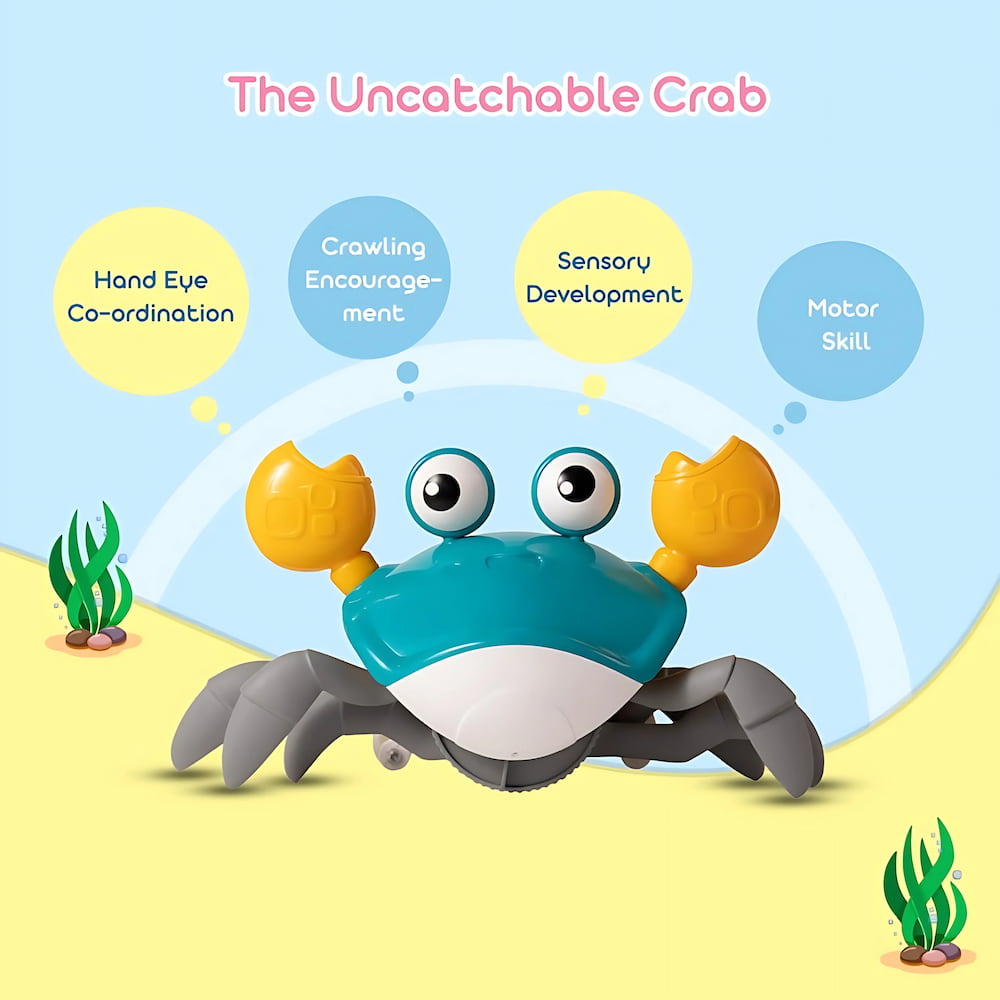 Baby Crawling Crab Toy