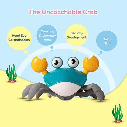 Baby Crawling Crab Toy