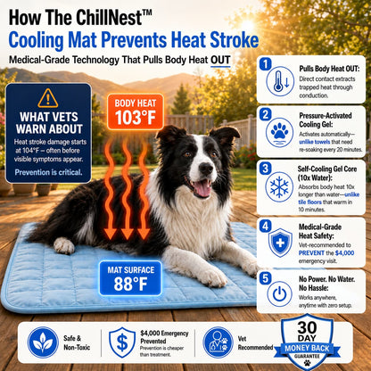 ChillNest™ Self-Cooling Mat - Because Water and Shade Aren't Enough