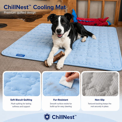 ChillNest™ Self-Cooling Mat - Because Water and Shade Aren't Enough