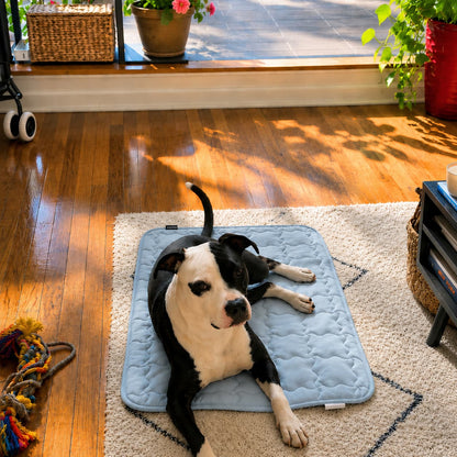ChillNest™ Self-Cooling Mat - Because Water and Shade Aren't Enough