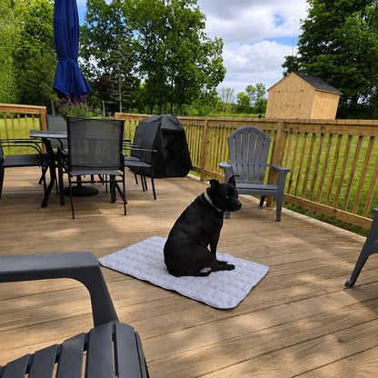 ChillNest™ Self-Cooling Mat - Because Water and Shade Aren't Enough