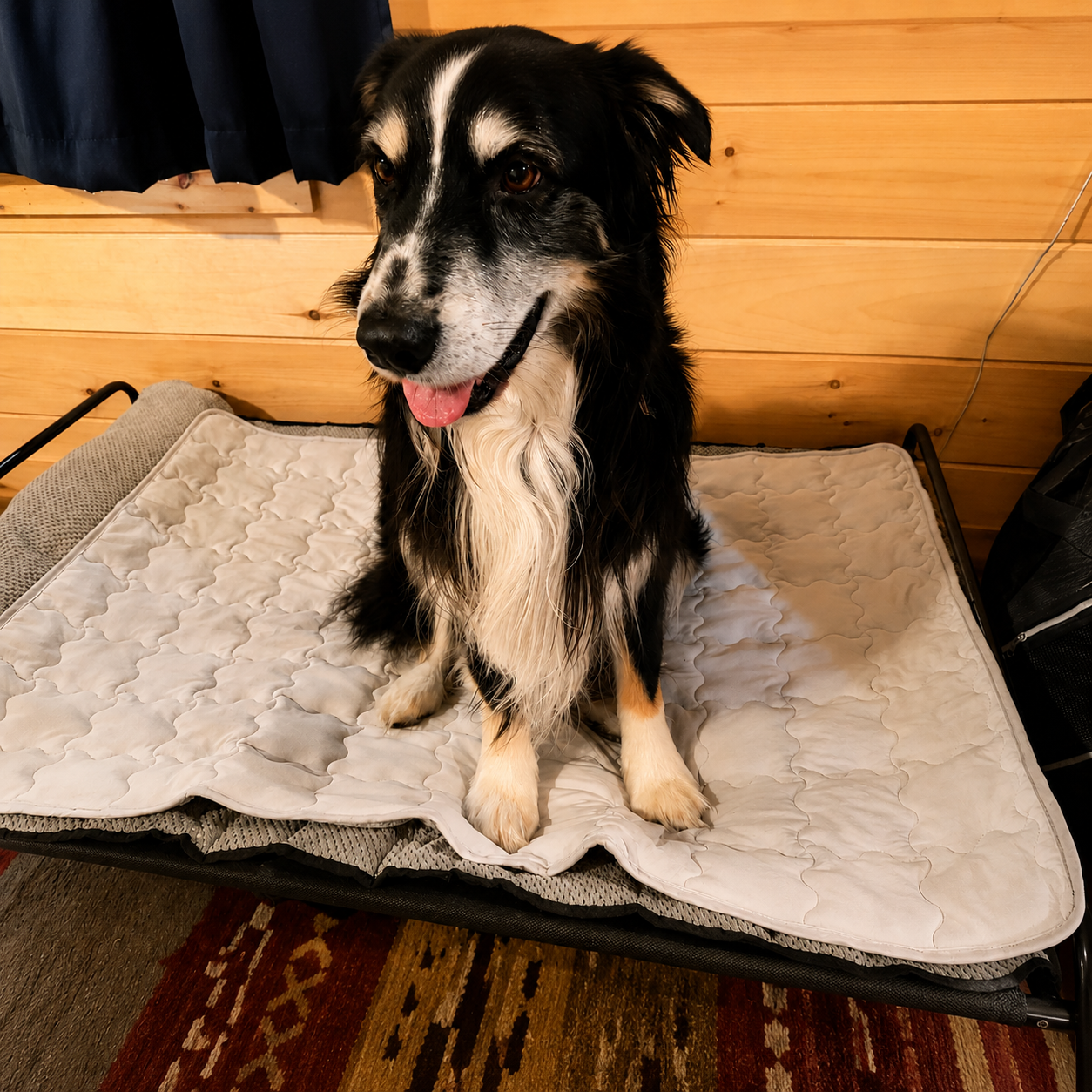 ChillNest™ Self-Cooling Mat - Because Water and Shade Aren't Enough